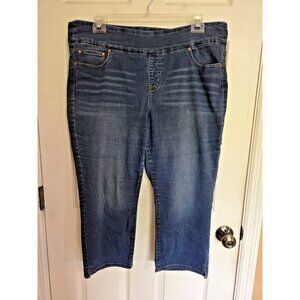 Stitch Star Mid-Rise Stretch Pull On Capri Blue Jeans Womens Plus 2X Soft